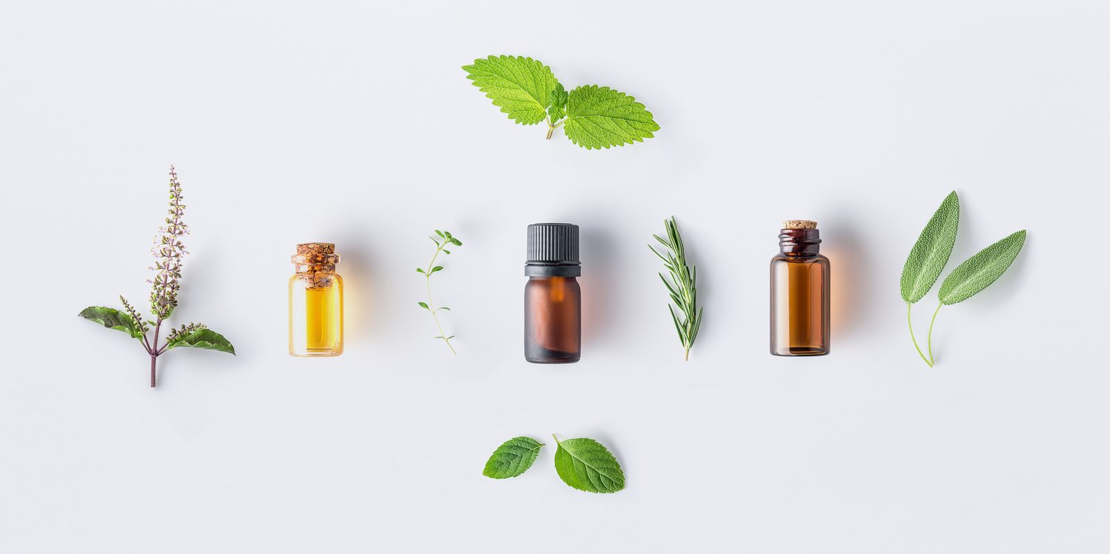 Massage oils used in therapeutic touch practice
